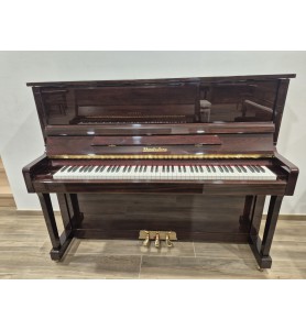 Wendl & Lung 122 Universal (2006)